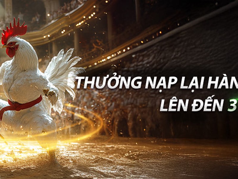 Hình ảnh sân bóng rổ và quả bóng