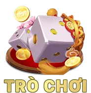 Biểu tượng Cúp Vô địch