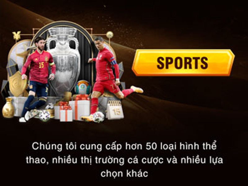 Sân vận động bóng đá với khán giả